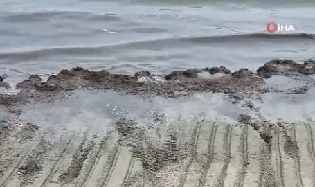 Marmara Denizi kıyıları kızıl yosunların etkisinde