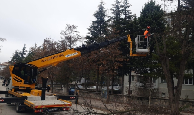 Odunpazarı’nda ağaç bakımları devam ediyor
