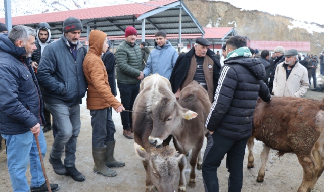 Oltu'daki hayvan pazarı yeniden açıldı