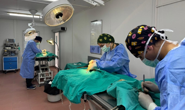 Osmangazi’de hem toplum hem de hayvanlar korunuyor