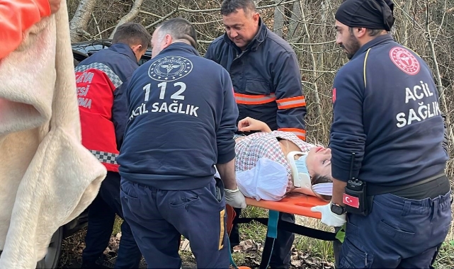 Sakarya'da otomobil ağaca çarptı: 1 yaralı
