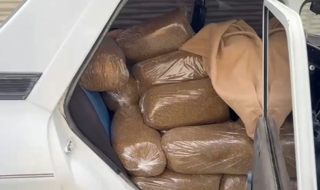 Samsun'da 250 kilo kaçak tütün ele geçirildi