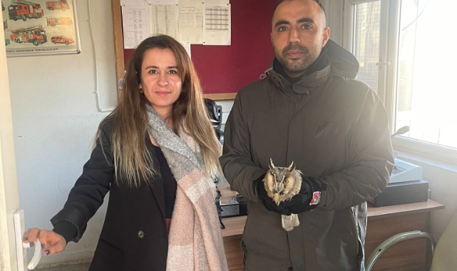Şırnak’ta yaralı puhu kuşları tedavi altına alındı