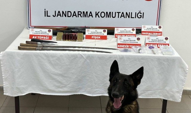 Yalova'da uyuşturucu operasyonu: 1 tutuklama