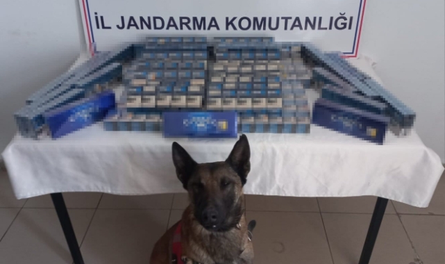 Ağrı'da 6 bin paket kaçak sigara ele geçirildi