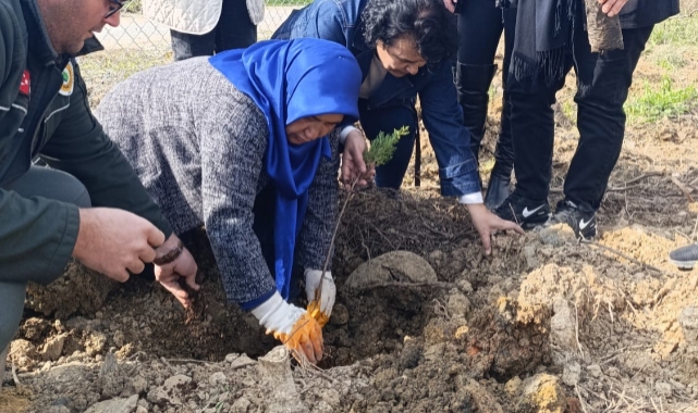 Anamur'da mezarlıklar ağaçlandırılıyor