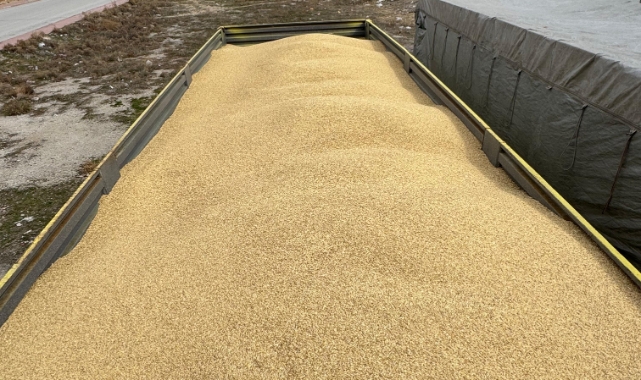 Arkadaşıyla planlayıp çalıştığı iş yerinden 250 ton arpa çaldı
