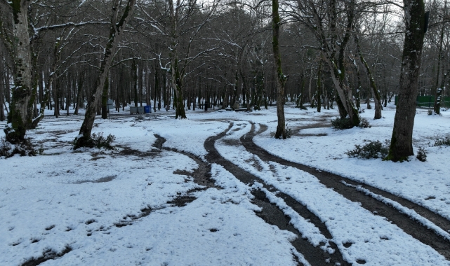 Belgrad Ormanı beyaza büründü