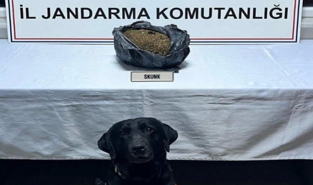 Düzce'de otomobilde kaputun altında gizlenmiş bin 70 gram uyuşturucu ele geçirildi