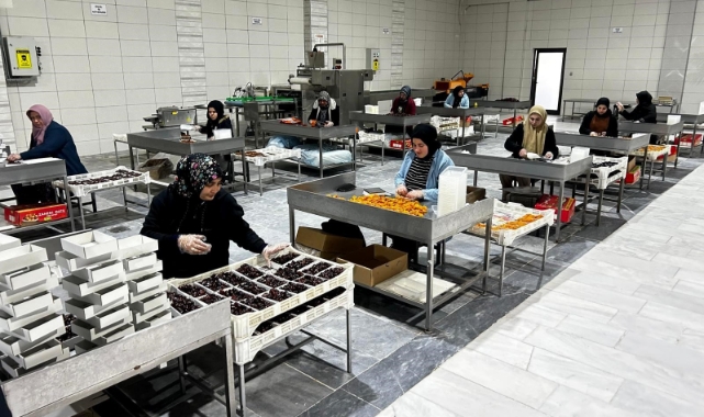 Hurma üretim tesislerine yönelik denetim
