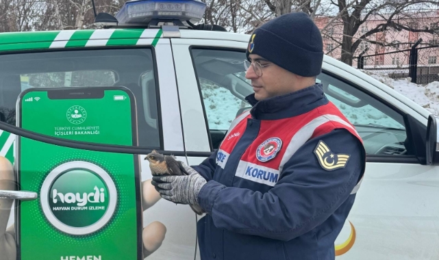 Jandarmadan atmacaya şefkat eli uzandı