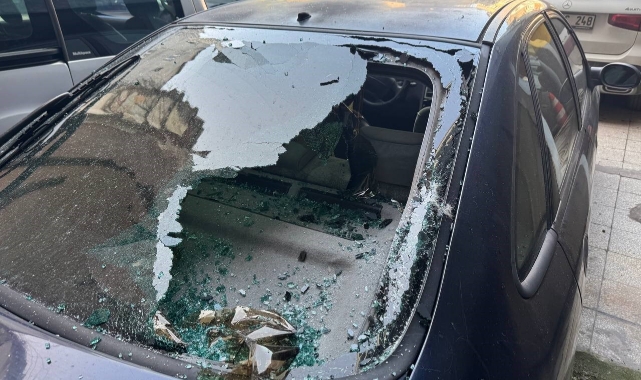 Köpek, beşinci kattan park halindeki aracın üzerine düştü
