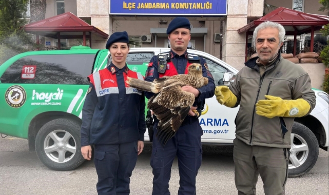 Manisa jandarma Kızıl Şahin'e sahip çıktı