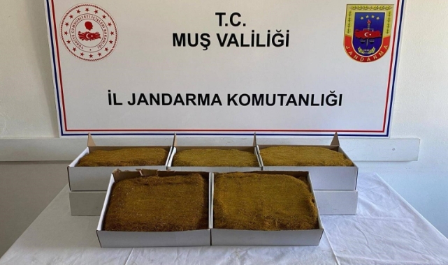 Muş'ta aranan 199 şahıs yakalandı