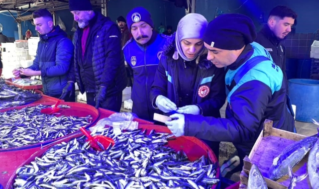 Osmaneli balık pazarında denetim