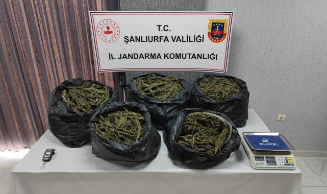 Şanlıurfa'da silah ve uyuşturucu madde ele geçirildi