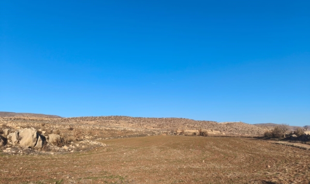 Siirt'te kış ayı kurak geçiyor