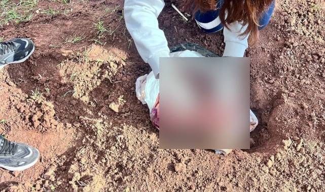 Şırnak'ta yenidoğan bebek cinayeti! 2 tutuklama