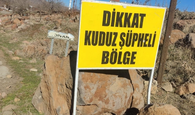 Siverek'te kuduz alarmı! Köy karantinaya alındı