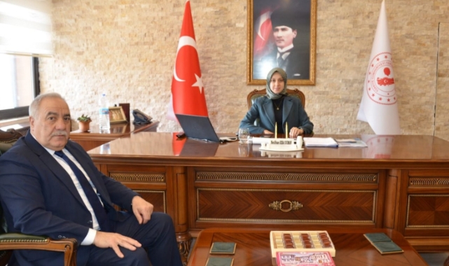 Tercan'da kurtuluş hazırlıkları devam ediyor