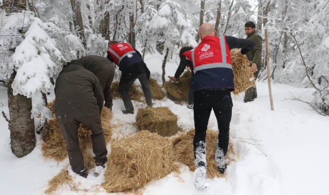Uludağ'daki yaban hayvanları unutulmadı