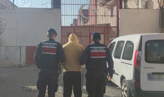 Aydın'da zeytinyağı hırsızlarına geçit yok