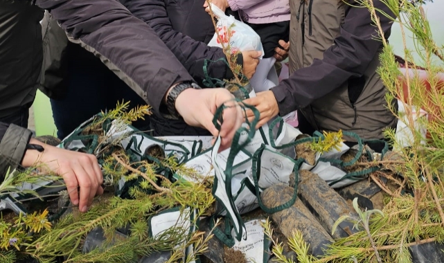 Bayramiç'te 1450 fidan dağıtıldı
