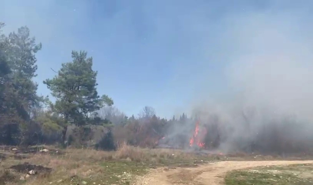 Bursa'da korkutan orman yangını!