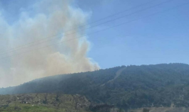 Çanakkale'de orman yangını