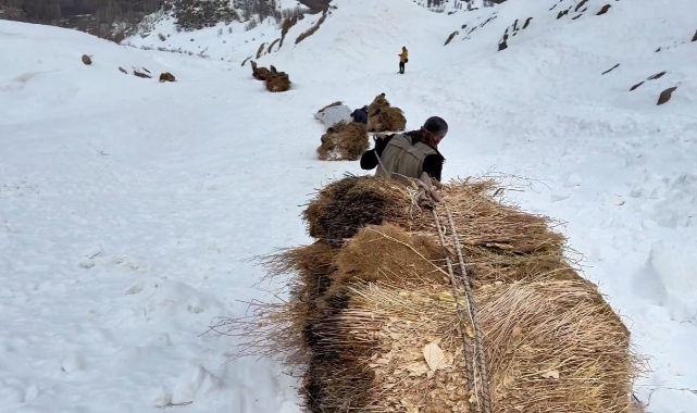 Çiftçilerin 3 bin rakımdaki mücadelesi böyle görüntülendi
