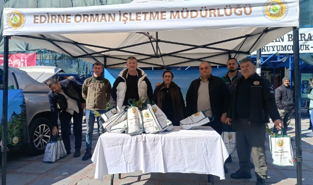 Edirne'de çam fidanı dağıtıldı