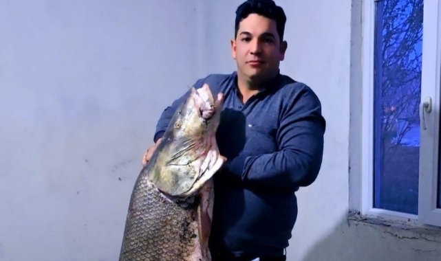 Elazığ'da dev turna balığı yakalandı: Ağırlığı 60 kilogram