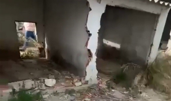 Erdek'te barınak çilesi! Belediyenin ilgisizliği pes dedirtti