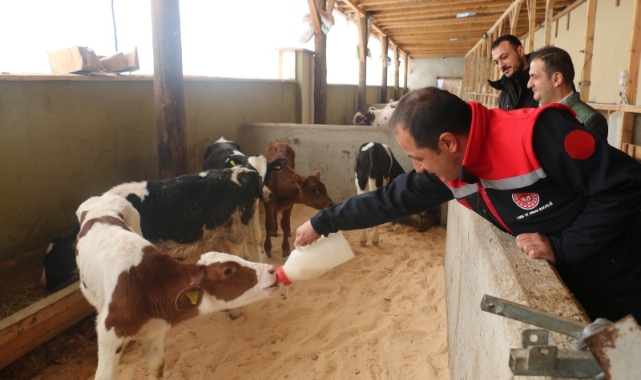 Erzincan’da büyükbaş hayvan işletmelerine arilik incelemesi