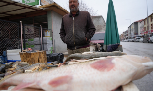 Erzincan’da Fırat balığı 250 TL’den alıcı buluyor