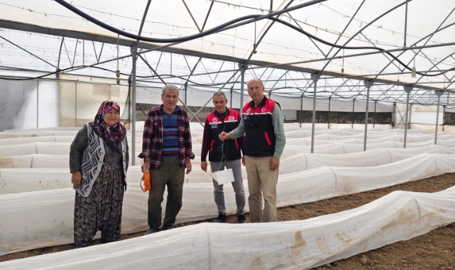 Eskişehir'de domates seralarında zararlı takibi başladı
