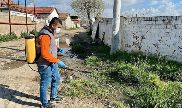 Germencik'te ilaçlama çalışmaları sürüyor