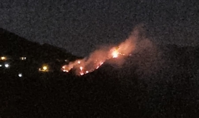 Giresun’da gece çıkan örtü yangını korkuttu