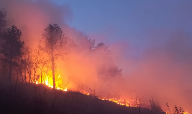 Hatay'da çıkan orman yangını kontrol altına alındı