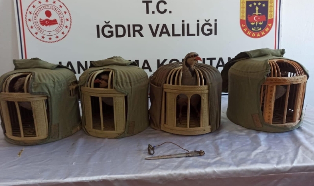 Iğdır'da kınalı keklik avcılarına 402 bin 825 lira ceza