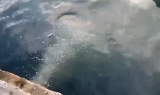 İSKİ Genel Müdürlüğü’ne ikinci defa idari para cezası kesildi!