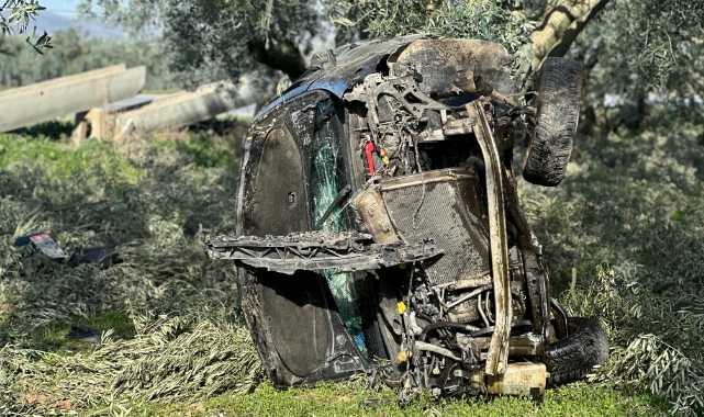 İznik'te zeytinliğe uçan otomobilin sürücüsü yaralanmadı