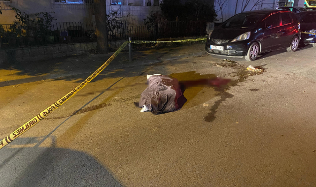 Kadıköy'de çöp kamyonunun altında kalan yaşlı kadın öldü