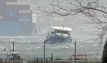 Kocaeli'de denizde korku dolu anlar