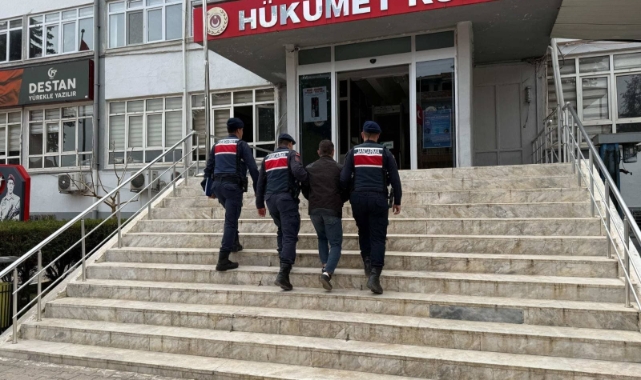 Mersin'de 16 hayvanı çalan şüpheli yakalanıp tutuklandı
