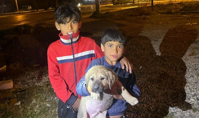Mersin'de kuyuya düşen yavru köpek kurtarıldı