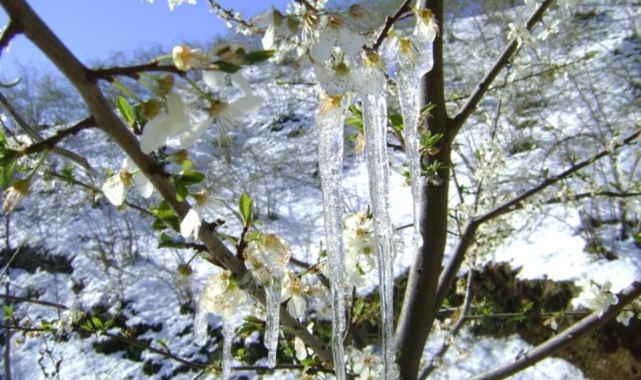 Muğla 19 Mart’tan 24 Mart’a kadar buz tutacak