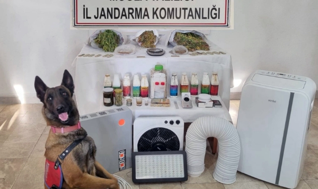Muğla’da uyuşturucu operasyonu