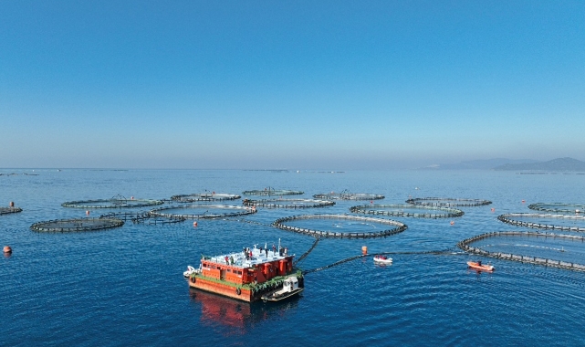 Muğla’nın Şubat ayı su ürünleri ihracatı 86,3 milyon dolar