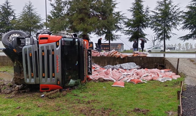 Ordu'da besi yemi yüklü tır devrildi! Sürücü yaralandı